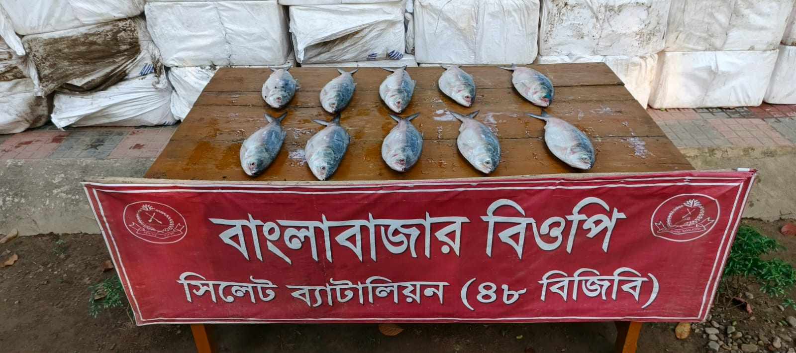 সুনামঞ্জের দোয়ারাবাজারে ভারতে পাচারের সময় ৮৮৫ কেজি ইলিশ জব্দ