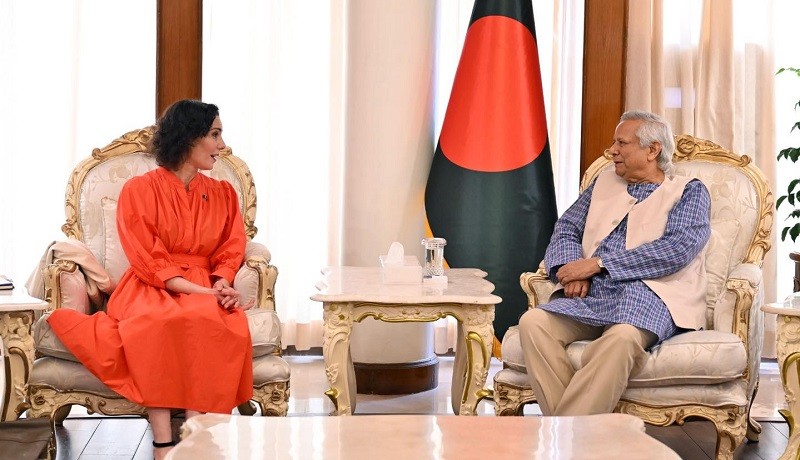 চলতি বছরেই নির্বাচন, ইইউ প্রতিনিধিকে ড. ইউনূস