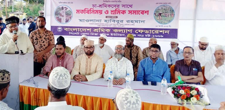 জামায়াত রাষ্ট্রক্ষমতায় এলে চা শ্রমিকদের ন্যায্য অধিকার নিশ্চিত করা হবে : মাওলানা হাবিব