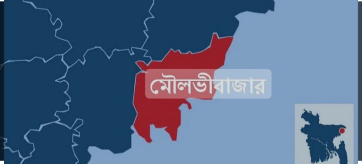 মৌলভীবাজারে ইয়াবাসহ এক মাদক কারবারি আটক