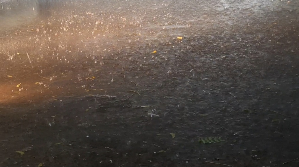 রাজধানীতে হঠাৎ বজ্রসহ শিলাবৃষ্টি