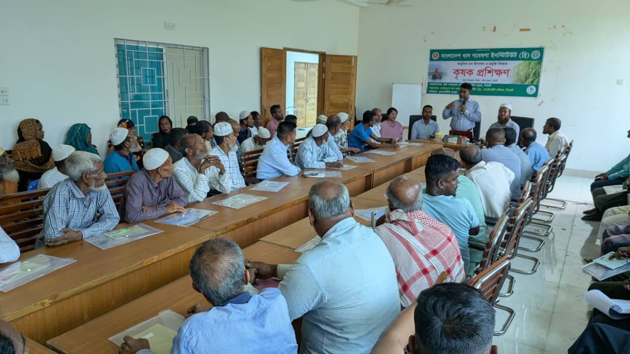 দক্ষিণ সুরমায় ব্রি’র আধুনিক ধান উৎপাদন ও প্রযুক্তি বিষয়ক কৃষক প্রশিক্ষণ অনুষ্ঠিত