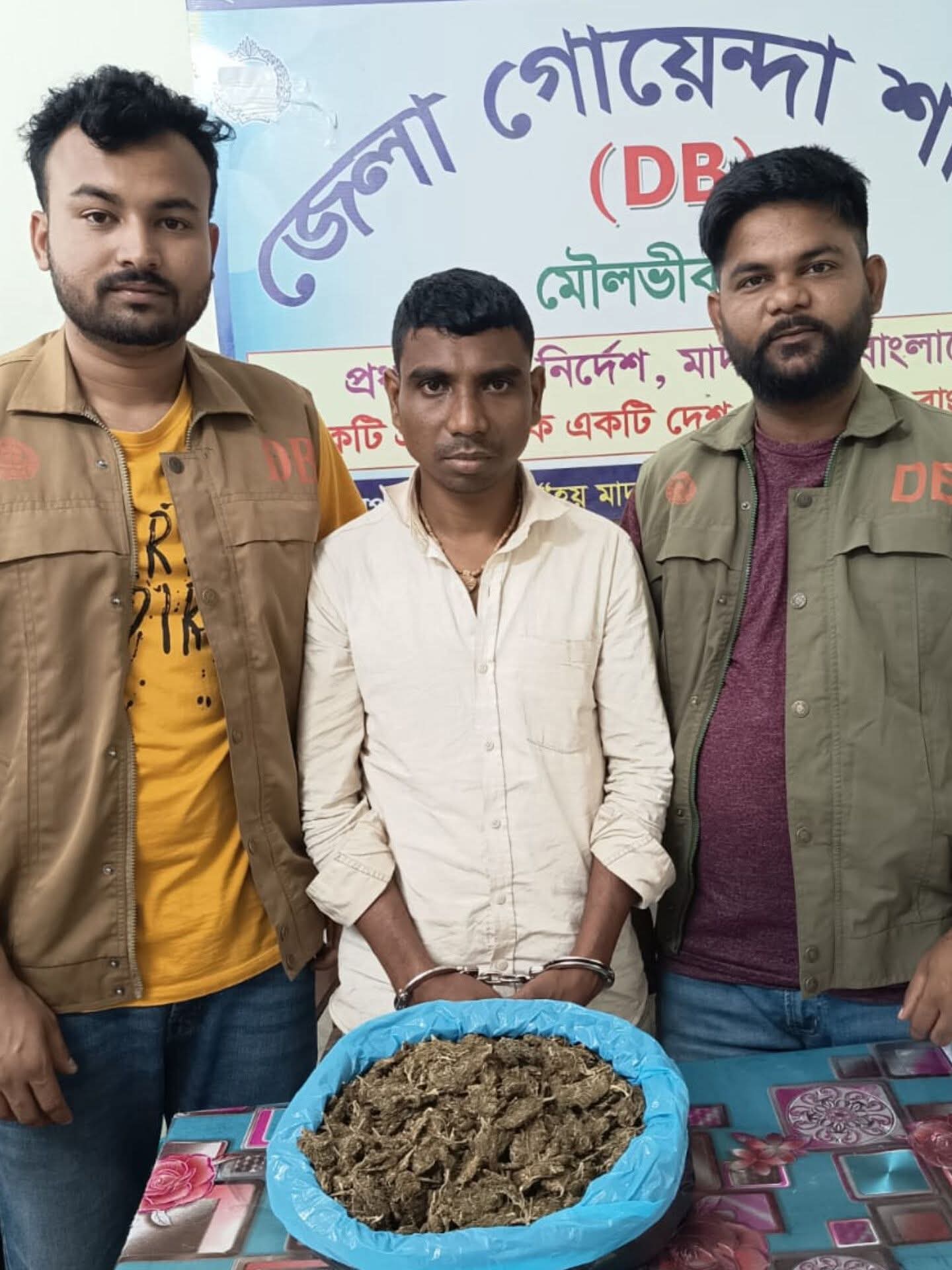 মৌলভীবাজারে ডিবি পুলিশের অভিযানে ১ কেজি গাঁজাসহ গ্রেফতার ১