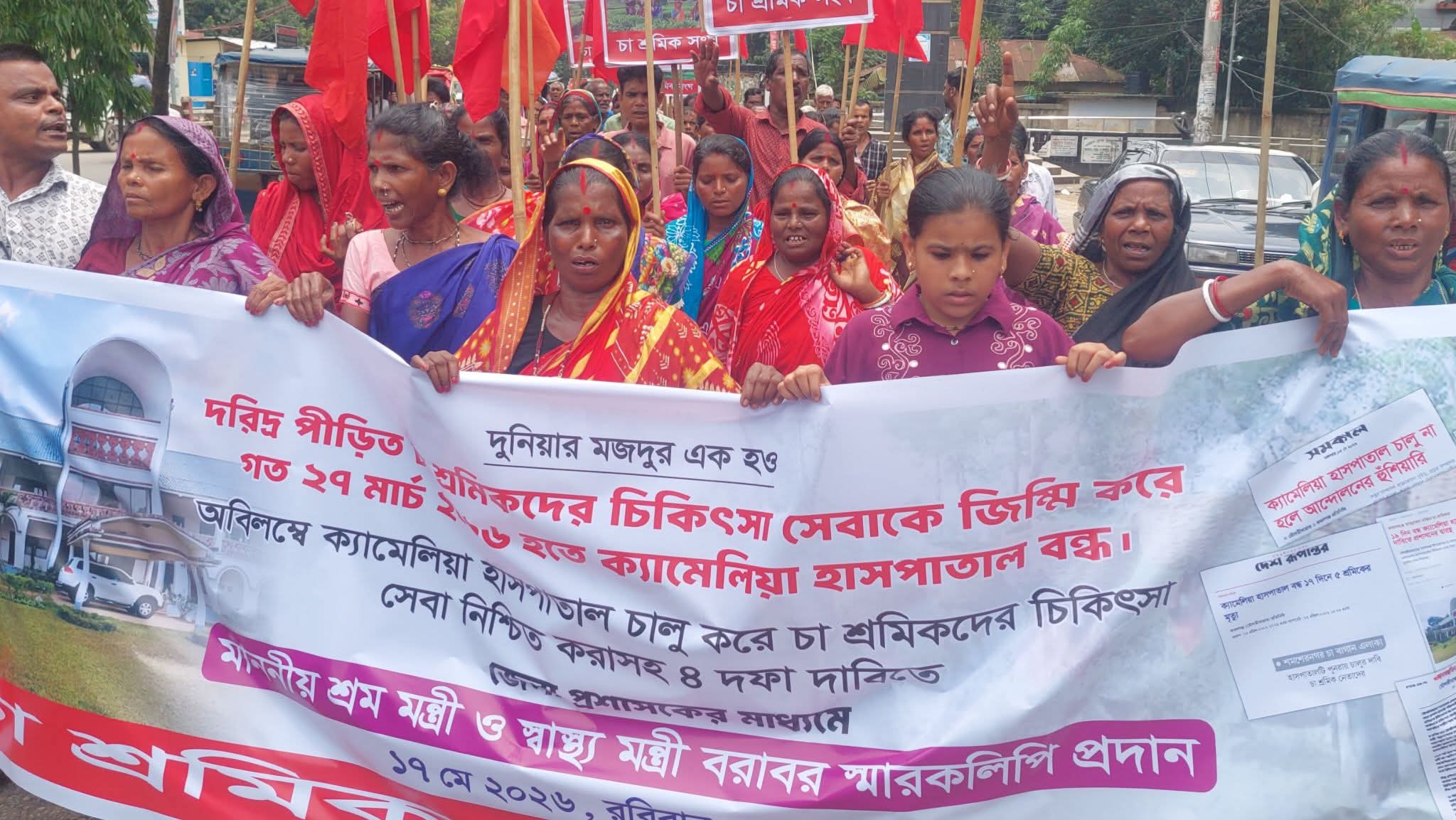 মৌলভীবাজারে চার দফা দাবীতে চা শ্রমিকদের বিক্ষোভ মিছিল