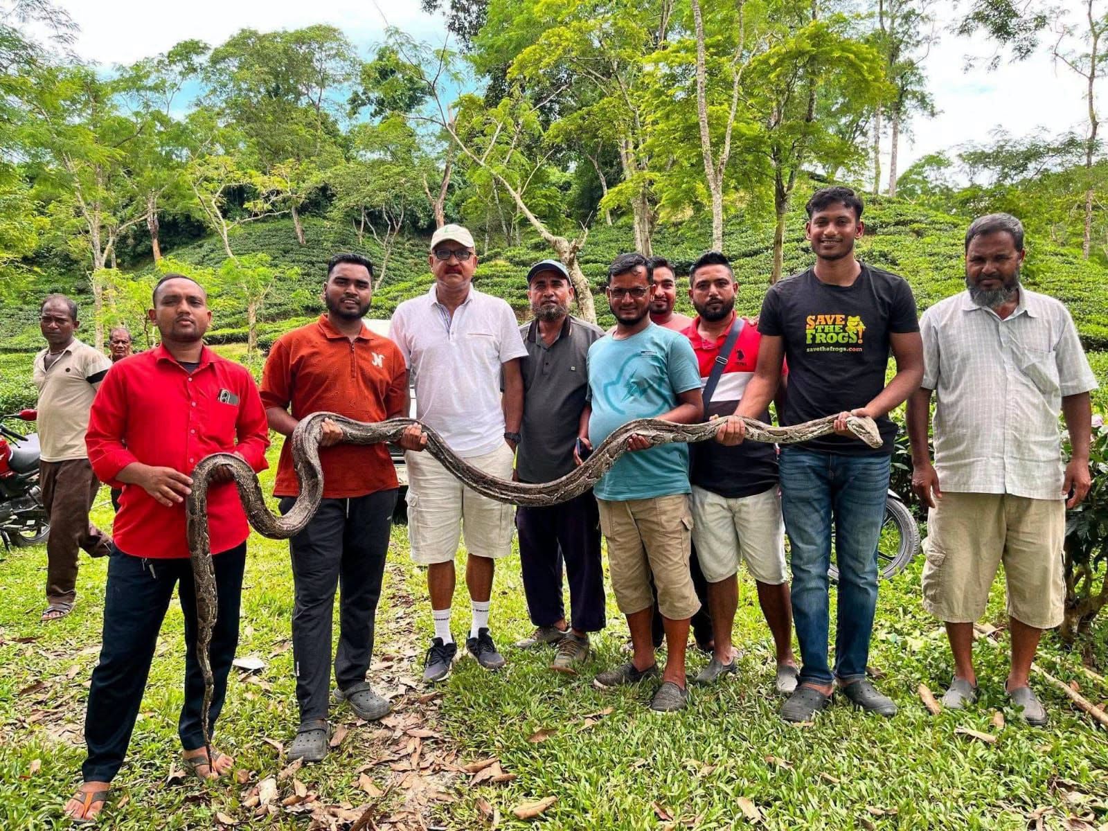 শ্রীমঙ্গল ও কমলগঞ্জে একই দিনে দুটি অজগর সাপ উদ্ধার