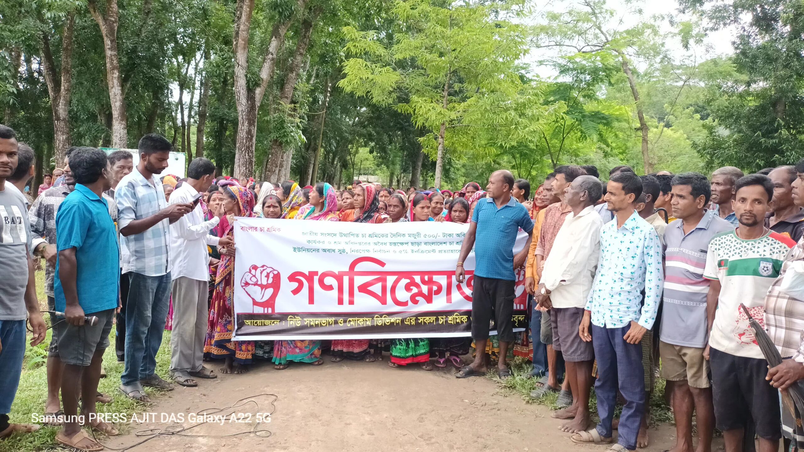 দৈনিক ৫শ টাকা মজুরীর দাবীতে বড়লেখায় চা শ্রমিকদের গণবিক্ষোভ 