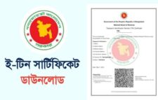 টিন সার্টিফিকেট আছে, রিটার্ন দেননি? ৫ হাজার টাকা জরিমানা নিয়ে যা জানা গেল